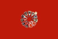蚌山区回收红酒